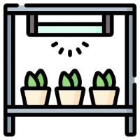 Agricultural and Horticultural Applications